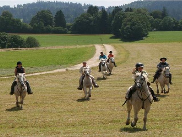 Eltern Kind Reitwoche