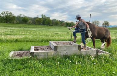 Naturtrail Kurs Bodenarbeit und reiten