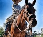 horsemanship-aargau