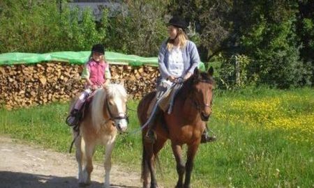 Pferde helfen Menschen (Aargau)