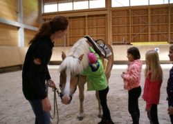 kindercamp-st.gallen