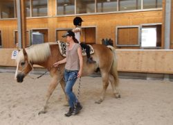 pädagogisches reiten st.gallen