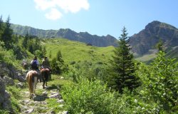 reiten-luzern