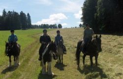 reiten_bern_jura