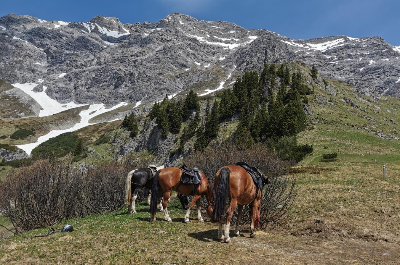 2 Tages Panoramaritt in den Fideriser Heuberge GR