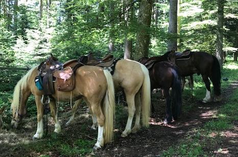 Pfingst Treck nach Schwarzenbach