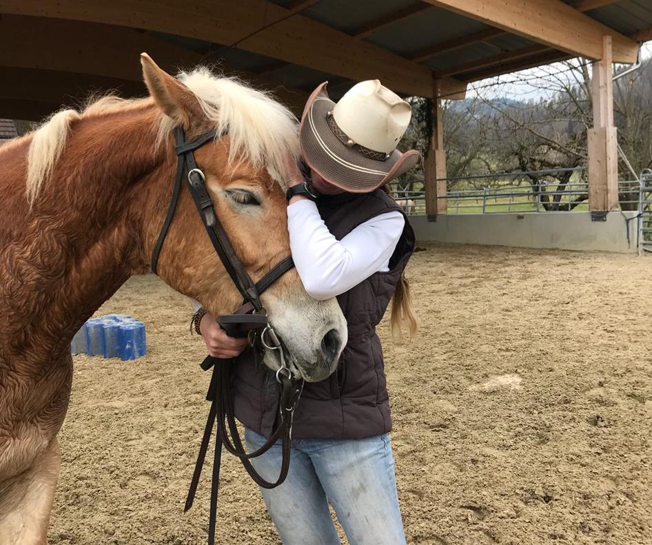 Horsemanship Kurs: Werde ein Dreamteam mit Deinem Pferd